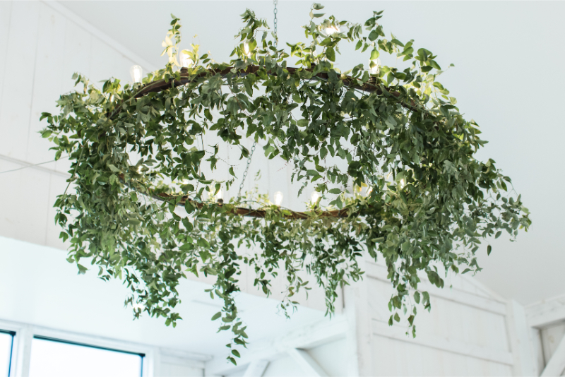 Circular hanging garden made of greenery.  